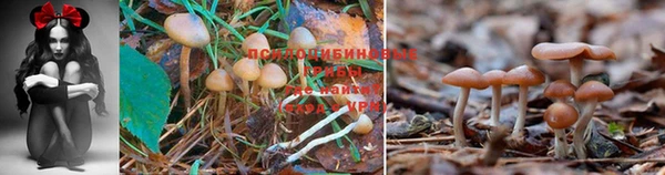 метадон Надым