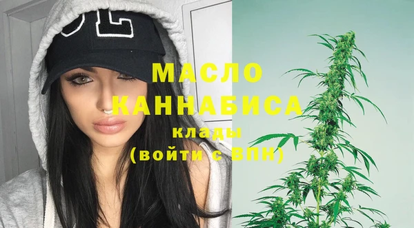 индика Абдулино