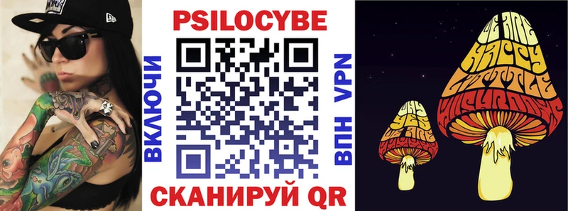 как найти   Сухиничи  Псилоцибиновые грибы MAGIC MUSHROOMS 